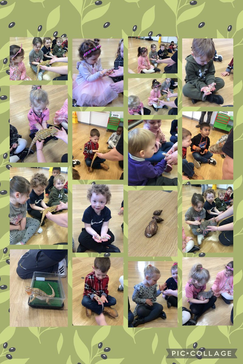 Nursery absolutely loved their session with @AnimalsTakeOver on Friday. They were so excited to meet the different creatures and learn all about them🦉🐌🐰 #StGerardsScience #StGerardsEYFS