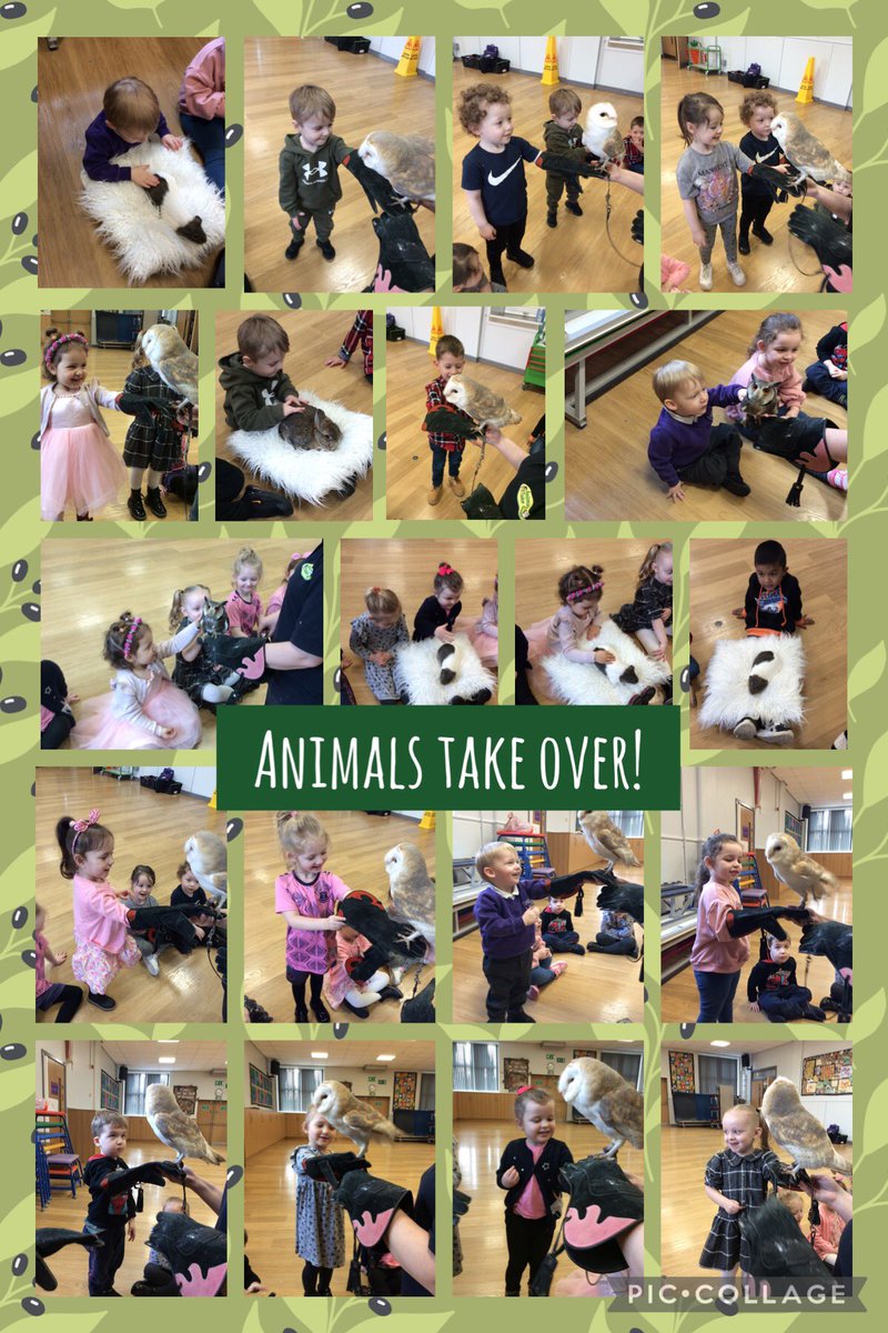 StGerardsWidnes's tweet image. Nursery absolutely loved their session with @AnimalsTakeOver on Friday. They were so excited to meet the different creatures and learn all about them🦉🐌🐰 #StGerardsScience #StGerardsEYFS