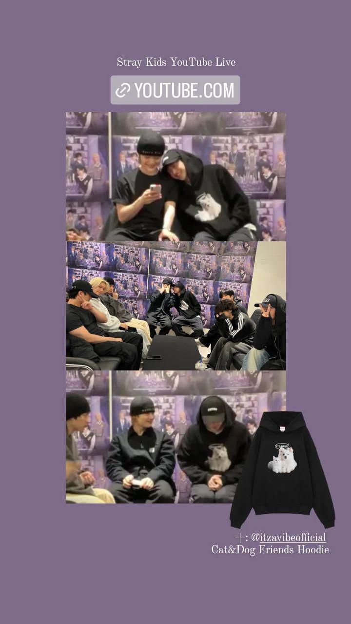 STRAY KIDS IN生 IN LIFE ALBUM Withdrama WD PHOTOCARD Pre