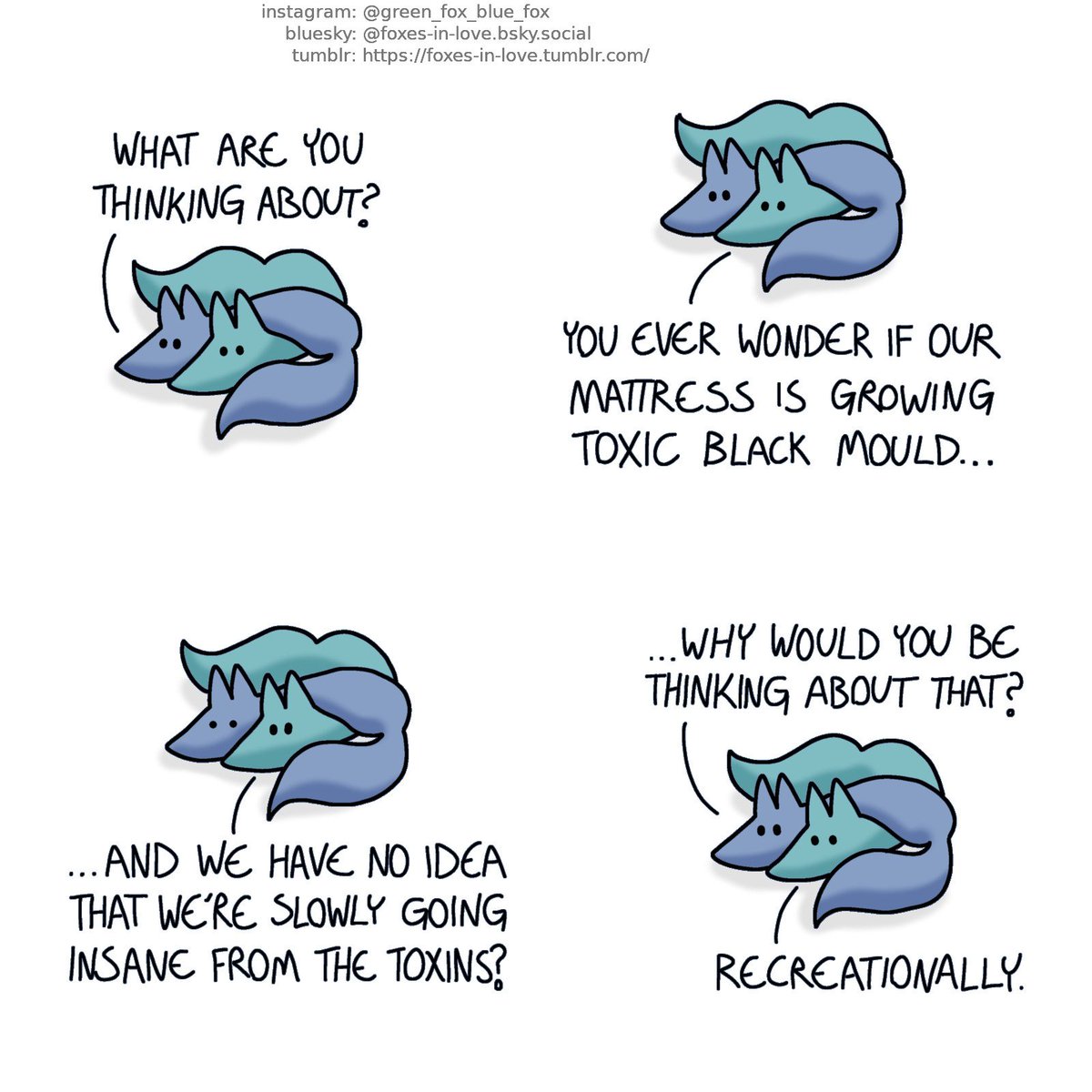 Foxes in Love (@foxes_in_love) on Twitter photo 