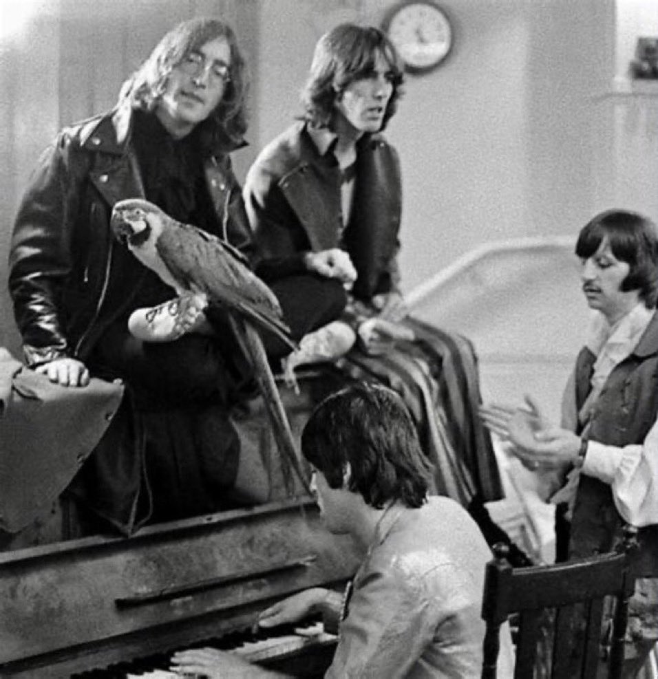 A parrot and a piano, London, July 1968 #TheBeatles #maddayout #sixties #1960s #beatleslondon