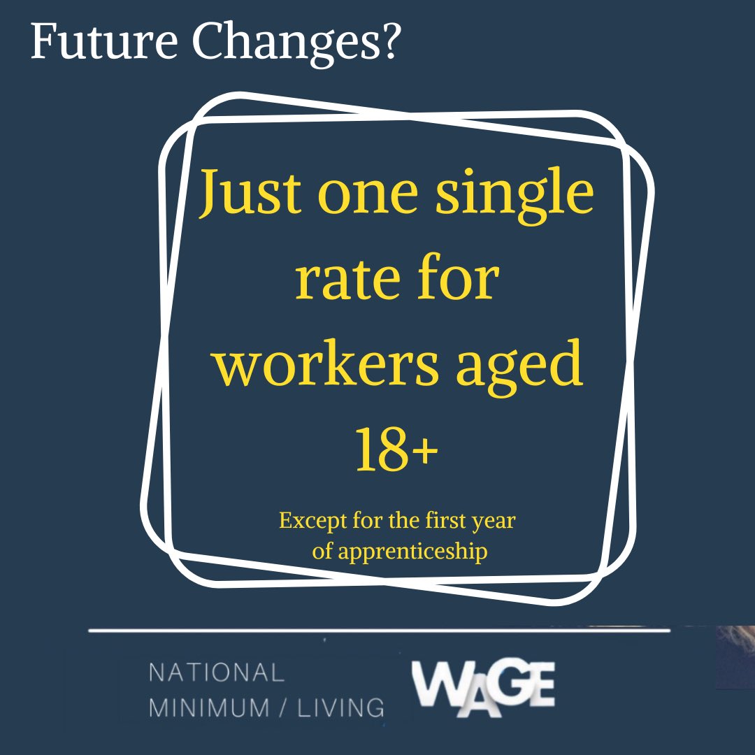 Low Pay Commission Report suggests a single National Living Wage for all workers over 18 (except in the first year of an apprenticeship).
#NMW #nationalminimumwage #nationallivingwage #businesstips