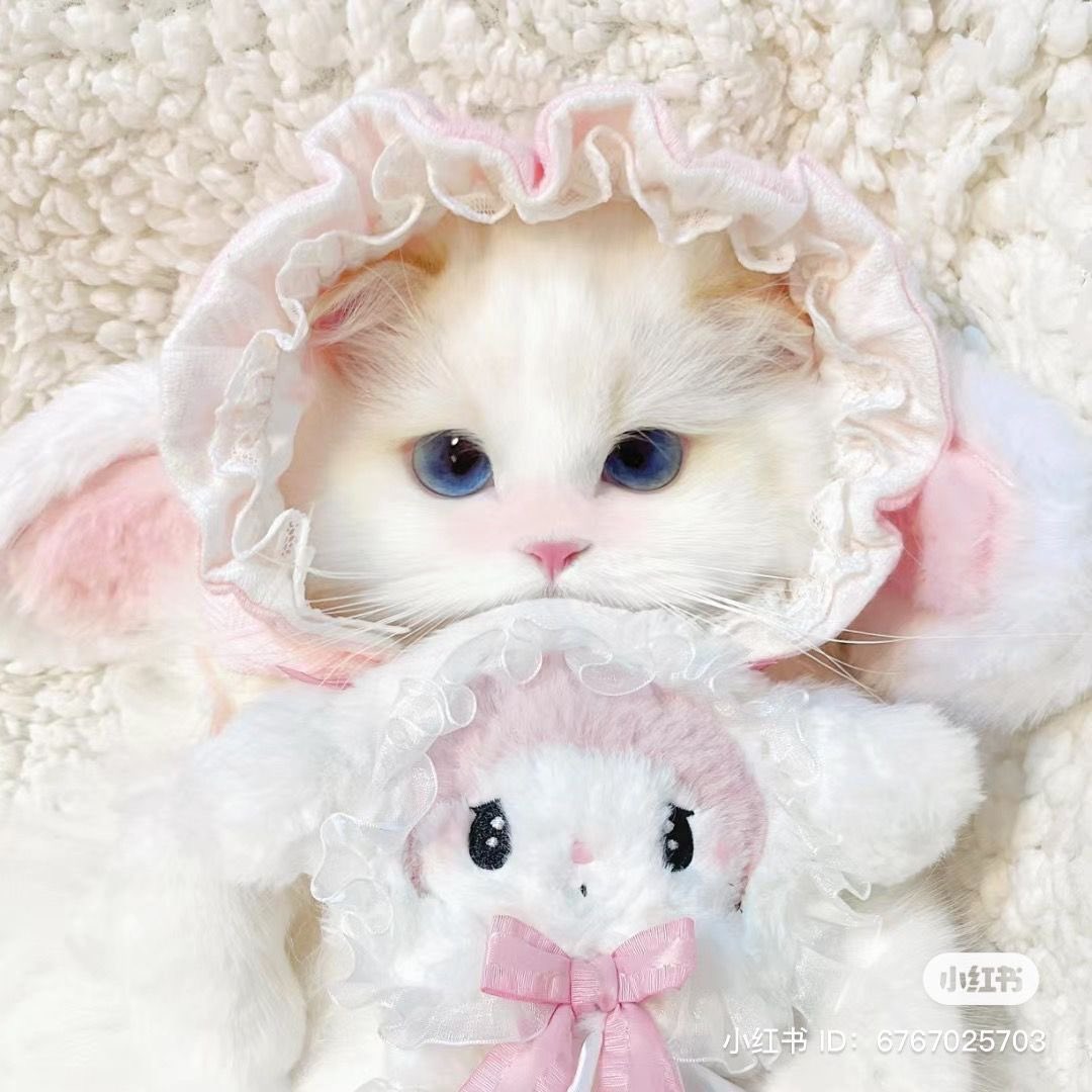njmhae's tweet photo. 🎀 https://t.co/FuTAEeU5rd