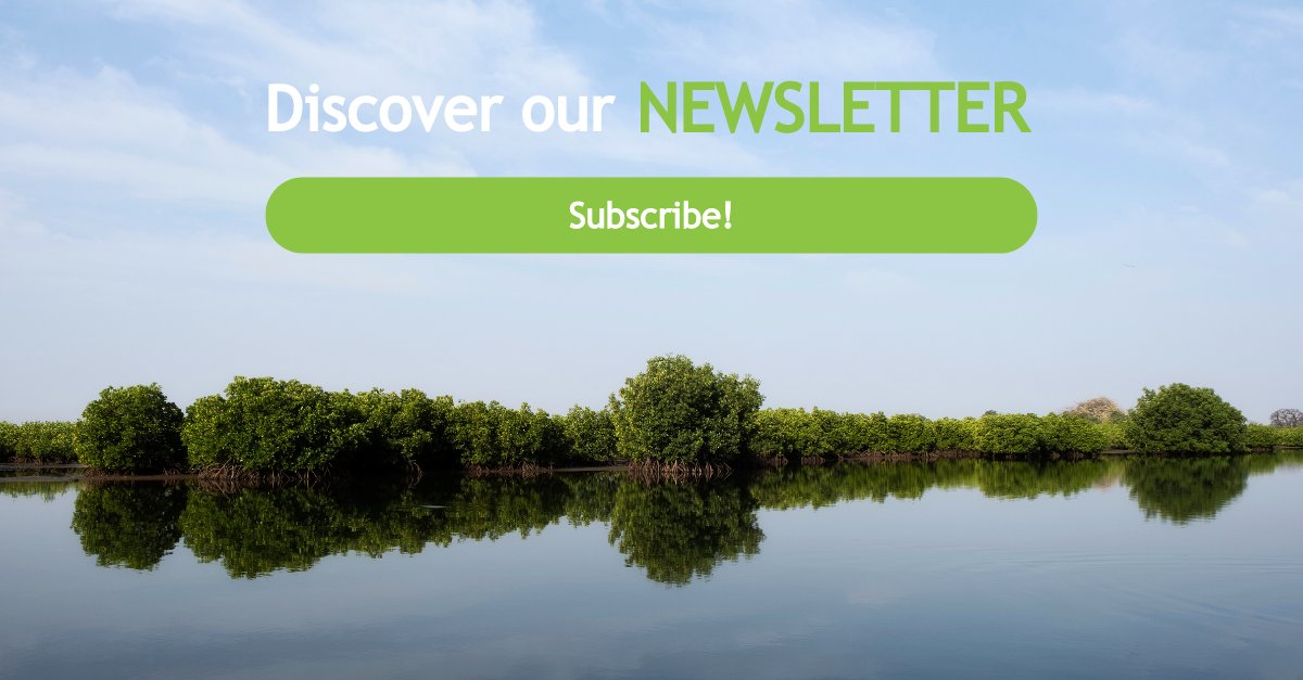 Don't miss a thing! Subscribe now to our newsletter and receive all ALLCOT updates, industry information, upcoming events and the progress of our projects straight to your inbox. allcot.us8.list-manage.com/subscribe?u=64…