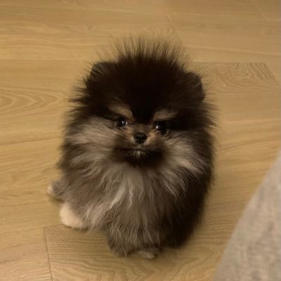 <a href="/bobaoppa/">Bobaoppa</a> $BOBAOPPA Reminder! This is last chance for those who are too late, bonus presale is LIVE.

bobaopasol.com/presale

Min. 1 SOL 

This is gonna take over SOL Space, only a few hours left to be EARLY