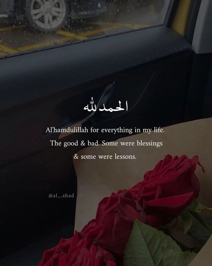 Assalam-u-Alaikum ❣️
Good Evening Everyone 🌞