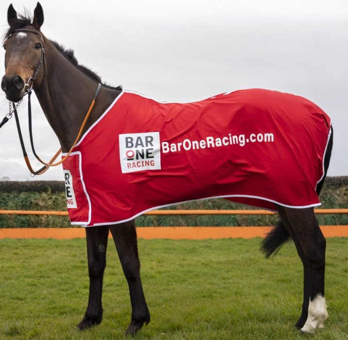 Featured race Sunday @corkracecourse is the €30K Grade 3 @BarOneRacing Chase won last year by a locally owned horse BACHASSON @OConnellGroup for Willie Mullins @swflanagan7 Willie has three of the seven entries Sunday . ▪️EASY GAME ▪️ASTERION FORLONGE ▪️STATTLER #Cork