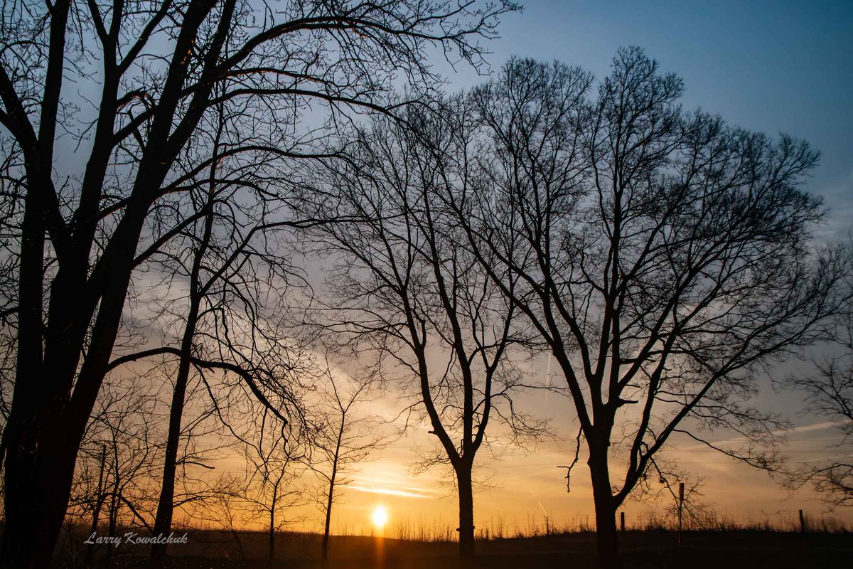 Below the Horizon #sunrise #sunrisephotography #trees #springphotography #landscape #ThamesCentrePhotographer #OntarioPhotographer