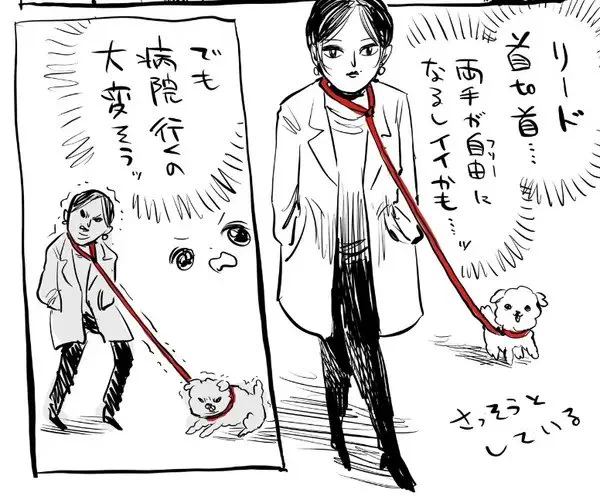 【衝撃】「どっちが飼い主なのか…」"首to首"な散歩を描いた実話マンガが話題に「そんなんおらんやろw」とツッコミ続出
https://t.co/rzRjojsJoH

川尻こだまさん(@kakeakami)が目撃した「首と首」をつないでの犬のお散歩が話題。首を痛めないようご注意を…… 