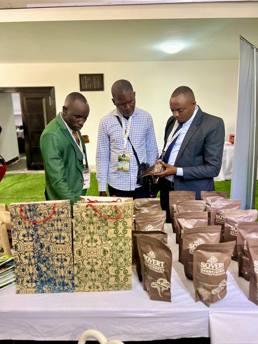 IngoMagazine's tweet photo. Début de la première partie des activités du lancement officiel de la 2ème édition du Brazzaville International Leadership Youth Forum (#BILYF), qui se déroule du 28 au 30 Mars 2024, au Palais des Congrès de #Brazzaville, sous le Haut Patronage de S.E. Denis Sassou Nguesso, Président de la République du Congo.
Le thème choisi pour cette 2è édition est : « l’agriculture et l’innovation au service du développement de l'#Afrique ».
Le #Burundi est représenté par:
▪️Mme Inès Nshimirimana (@ines96_ines), Conseillère technique Chargée de la Planification à l’@OPDD_Burundi
▪️Mme Rossalynn Kamariza (@KamRossa) Administrateur Directeur Général de #INGOMAG
▪️Mme Charnella Inamahoro Directrice Générale de Unikorn et Mlle Chancelle Dodie Arakaza
▪️Mr Jolis Nduwimana Directeur Exécutif de WEGE COMPANY (@WegeCompany)
▪️Mr Lambert Kubwimana, Directeur Gérant de SOVERT
#BILYF2024
#VisitBurundi
#YouthImpulse
#BeautifulDestinations