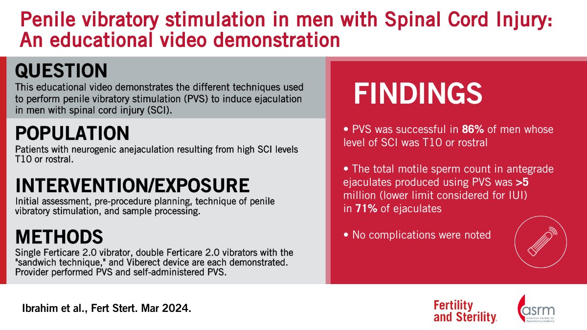 Penile Stimulation