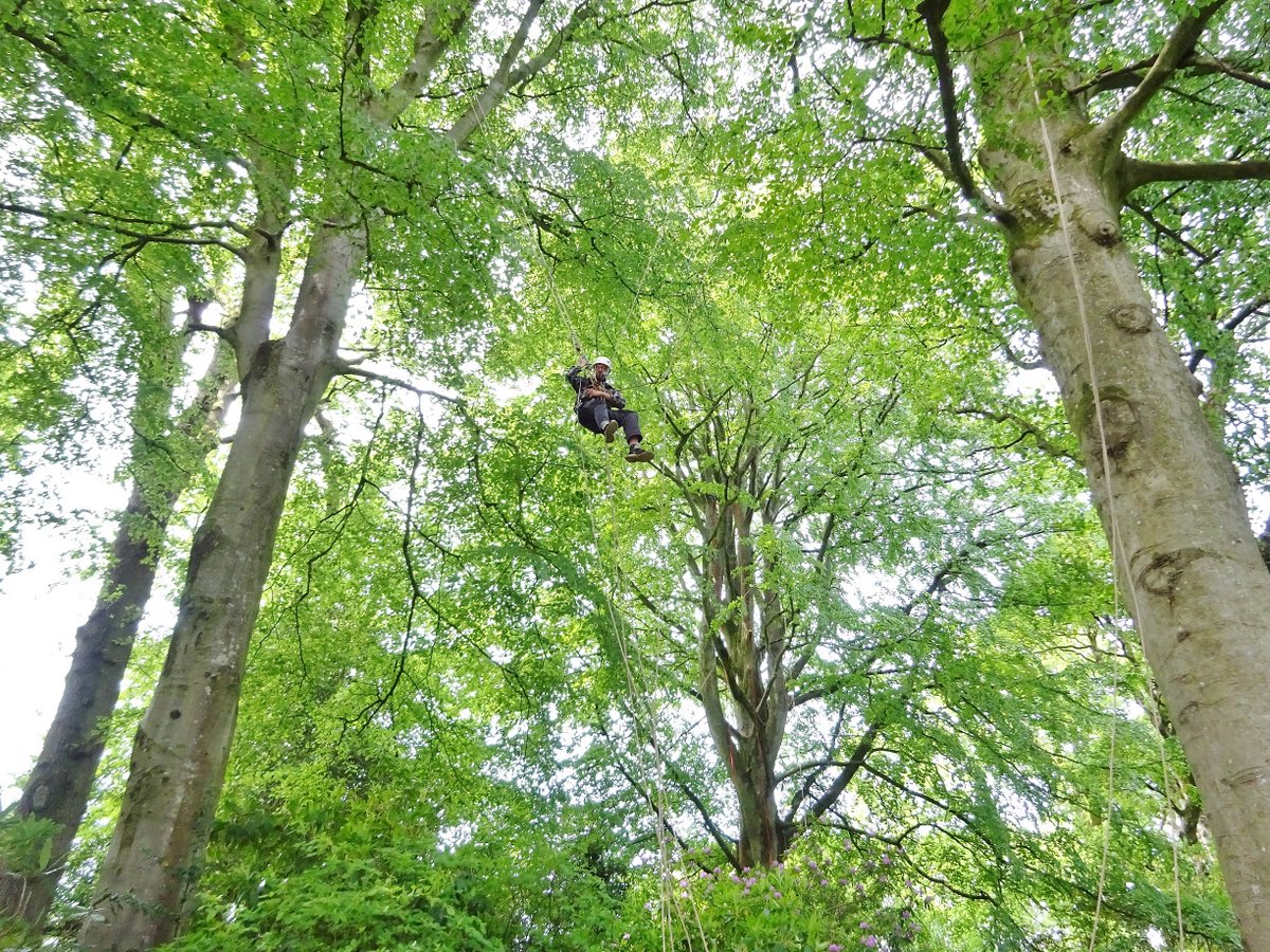 Come join us up in the trees! Our next #LANTRA approved #CanopyAccess #TreeClimbing course is being held 6th - 10th May, Bristol UK. Suitable for both beginners & experienced climbers. Pls message for more info or visit canopyaccess.co.uk Hope to meet you in May!🌳😁