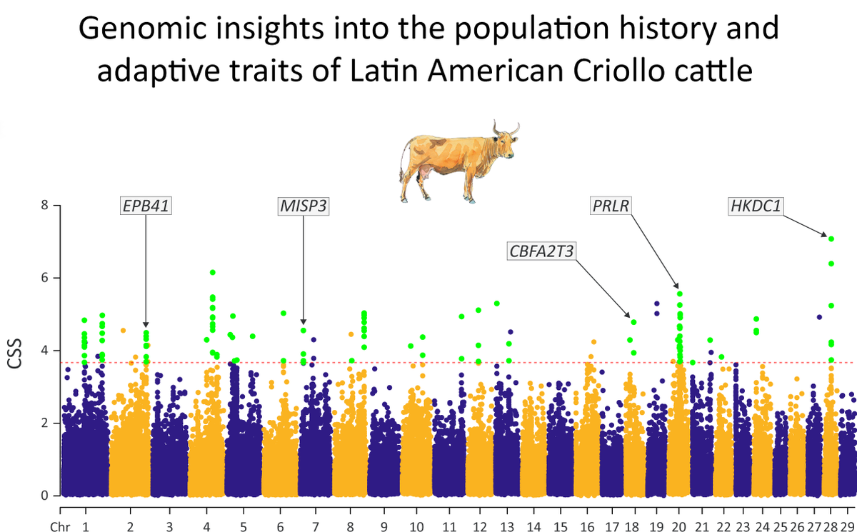 Our new <a href="/royalsociety/">The Royal Society</a> #OpenScience cattle #PopulationGenomics paper - great work from @akw_j, <a href="/ngangasaid/">Ismael Ng'ang'a</a>, <a href="/ImtiazRandhawa/">Imtiaz Randhawa</a>, <a href="/GillianMcHugo/">Gillian McHugo</a>, <a href="/jf_grady/">John Francis O' Grady</a> and co-authors. Support: <a href="/UCD_Research/">UCD Research</a> <a href="/ucdagfood/">UCD School Ag & Food</a>, <a href="/UCD_Conway/">UCD Conway Institute</a>, <a href="/GenomicsCRT/">Genomics Data Science - SFI CRT</a>, <a href="/Acceligen/">Acceligen</a>, @scienceirel 

royalsocietypublishing.org/doi/10.1098/rs…