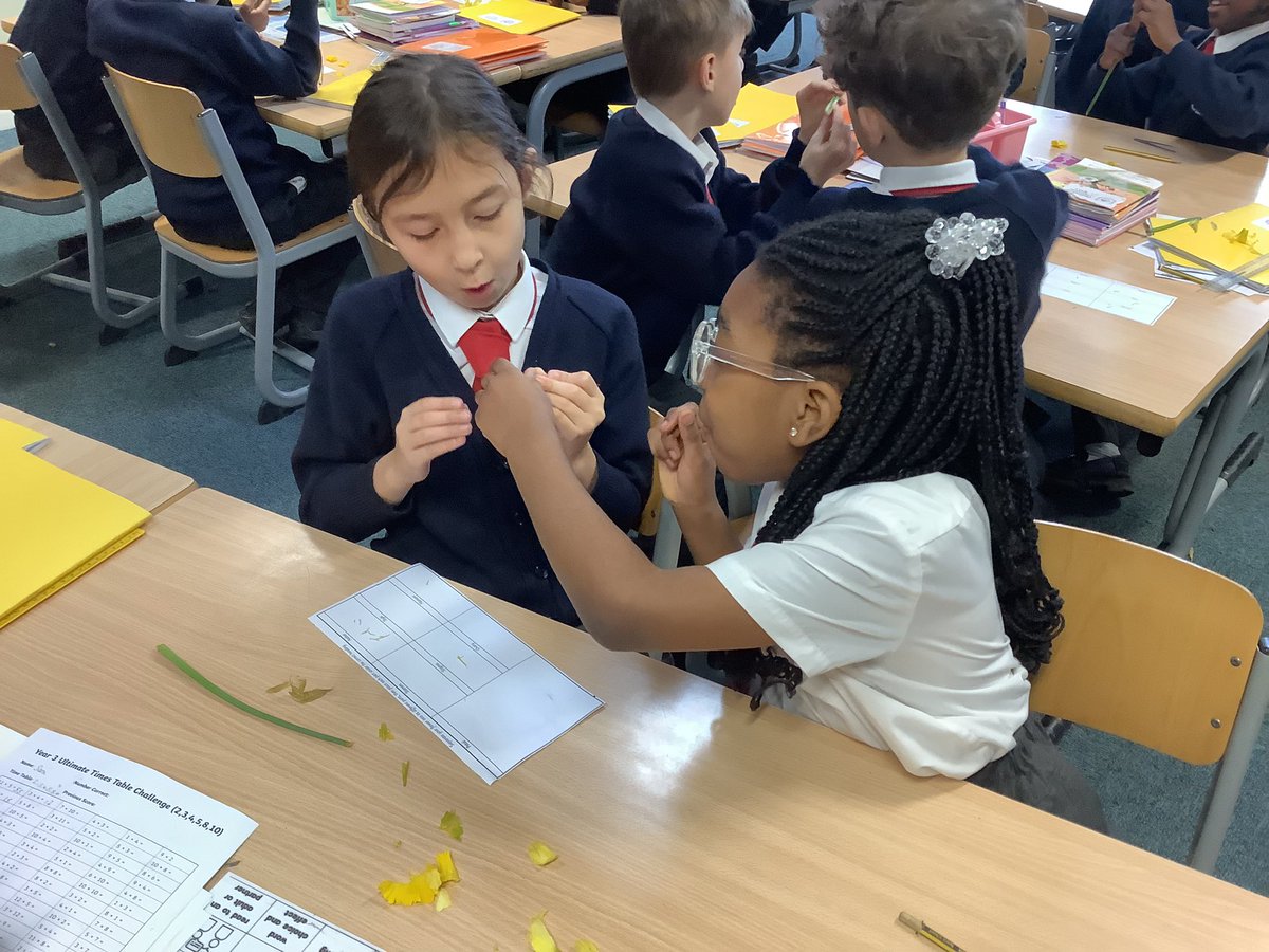 CE School of the Resurrection tweet media