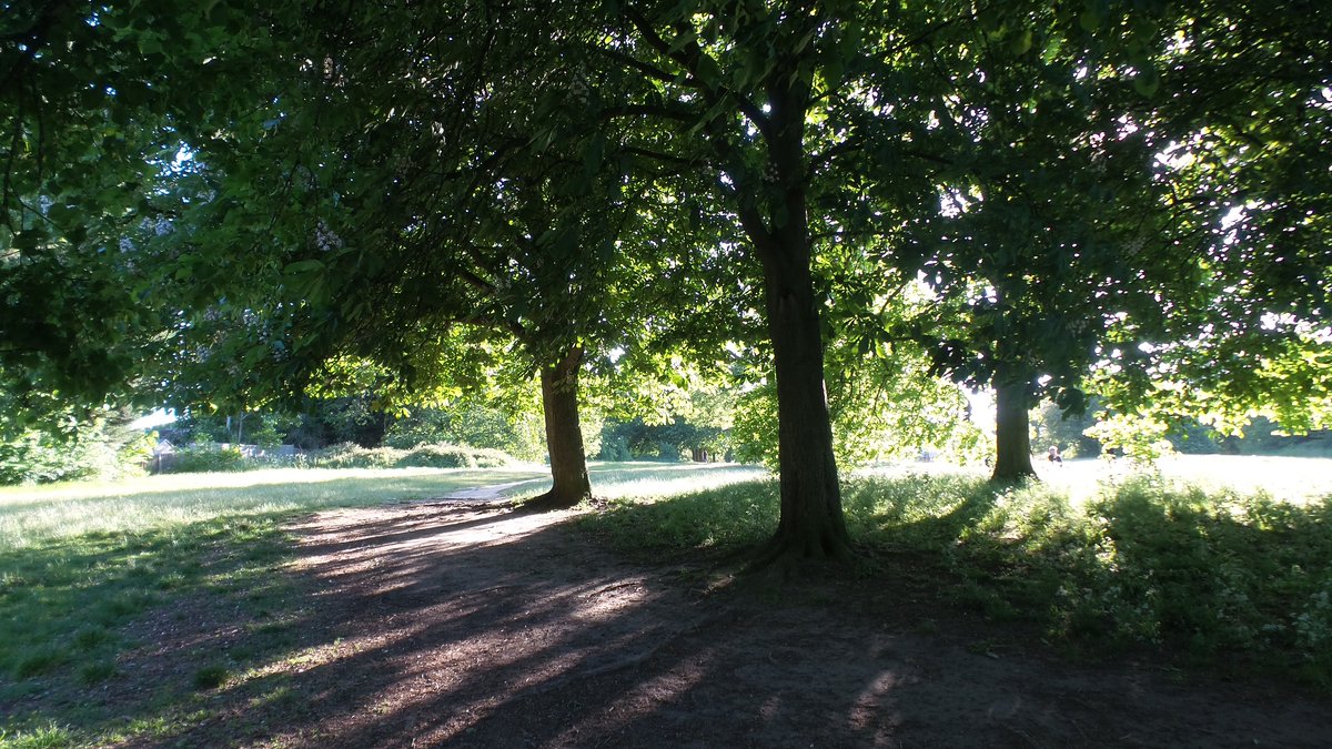 Learn more about the beautiful Tall Trees of Tilehurst as part of #ReadingWalksFest this May. Led by #ReadingTreeWardens, the circular walk will also peek into the grounds of Kentwood House. bit.ly/3PnilXj