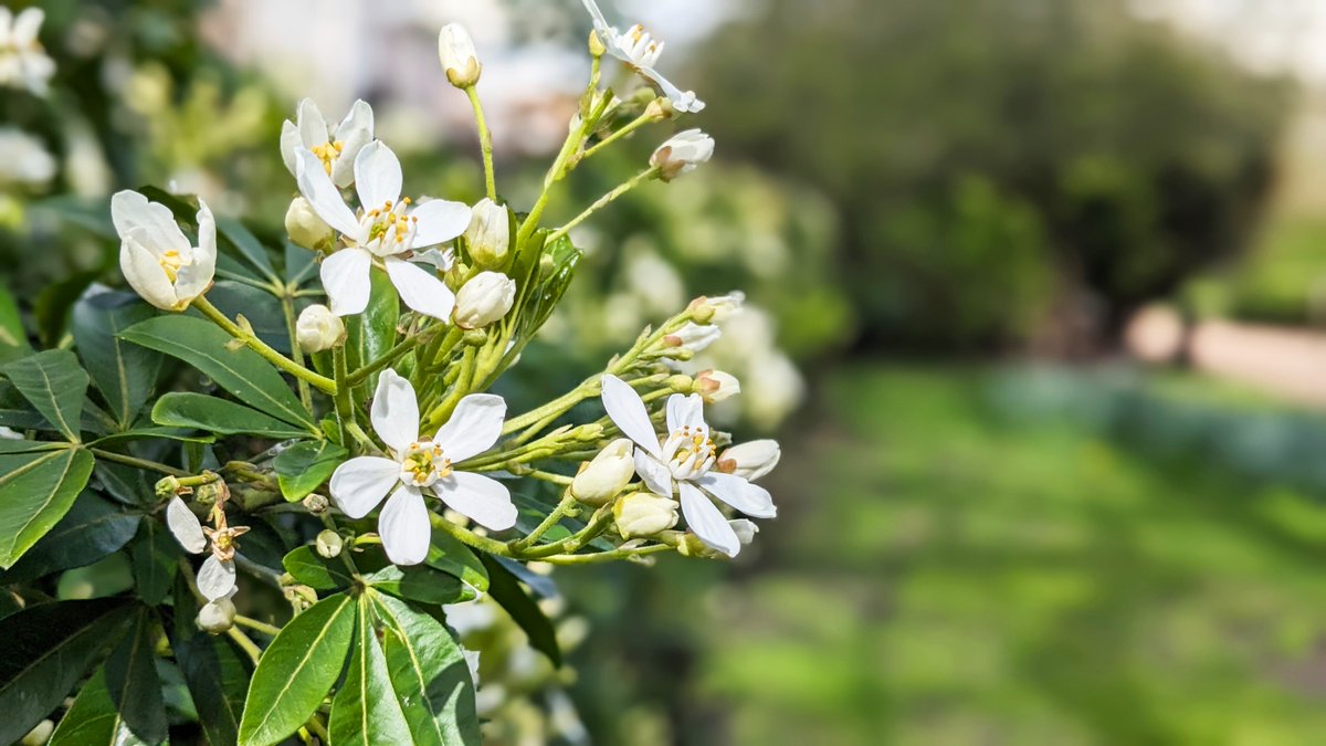 We, and the Alumni Centre, are now closed for Easter until Monday 8 April. 🐥 We hope you all enjoy your spring break! 🔆🌱