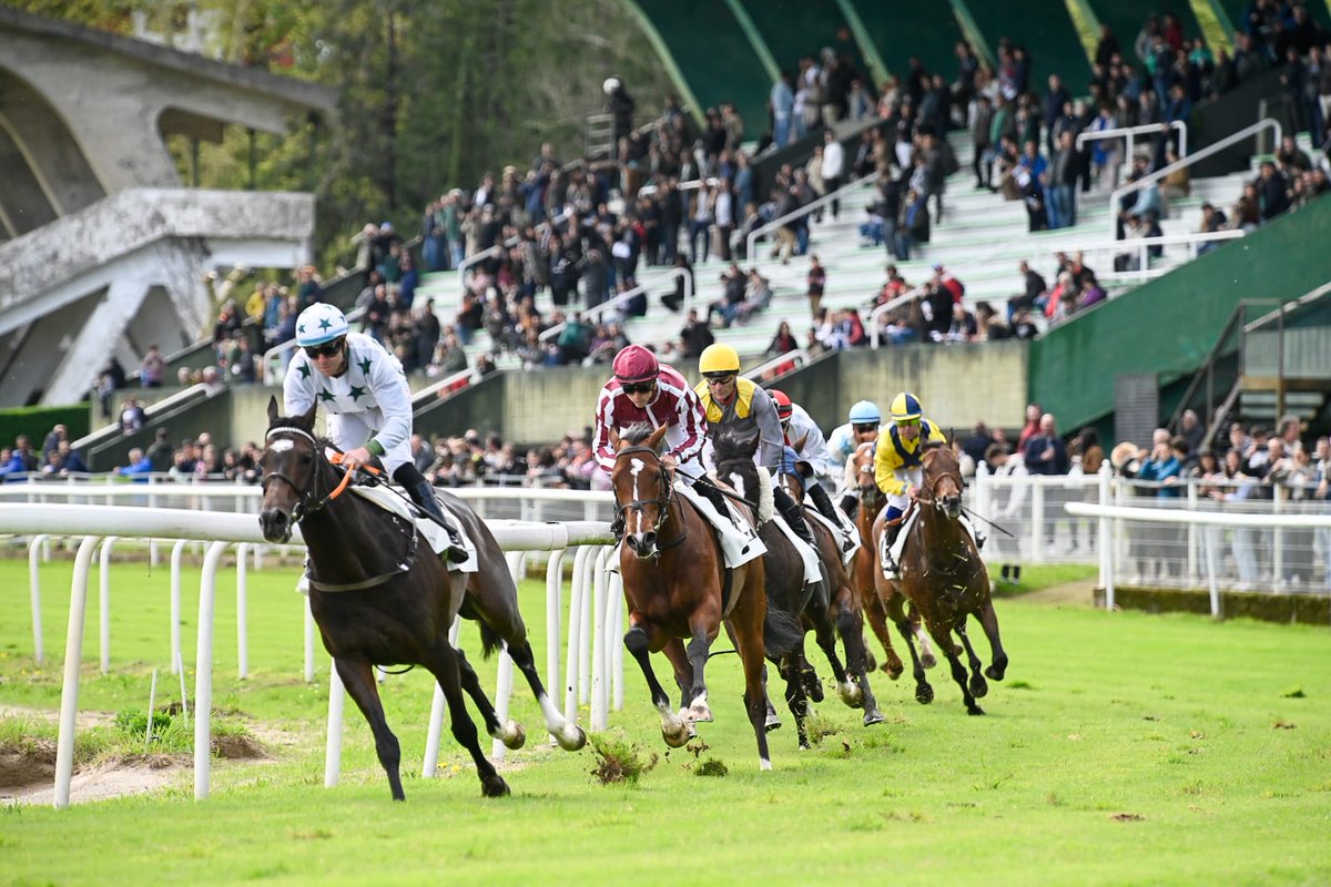 Zaldi Lasterketak tweet media