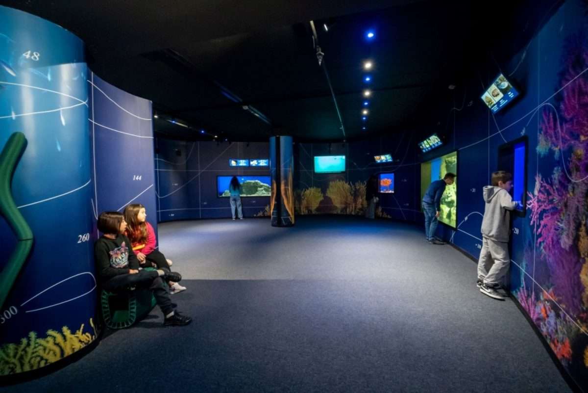 Le iniziative dell'Acquario di Genova e della Città dei Bambini per Pasqua - liguria.bizjournal.it/2024/03/le-ini… Le iniziative dell'Acquario di Genova e della Città dei Bambini per Pasqua