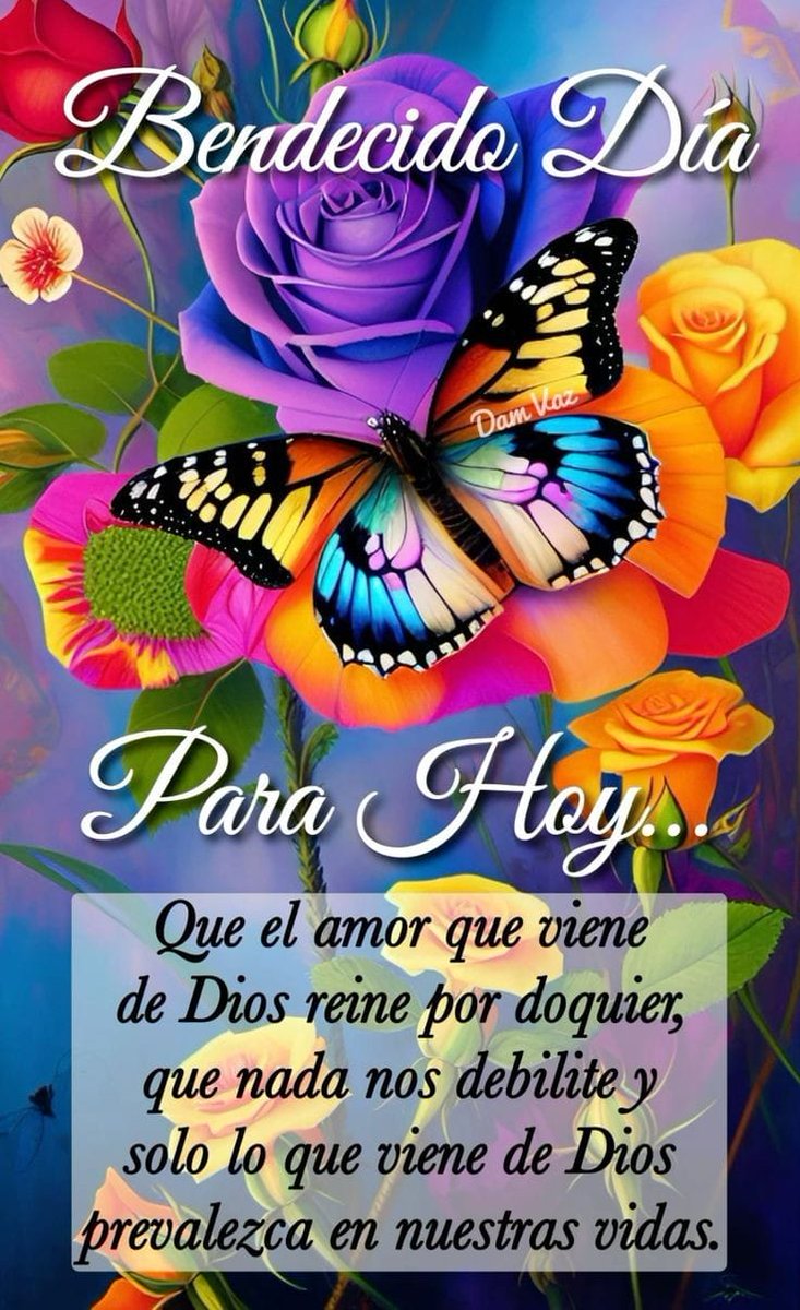 Como un guerrero de luz, comparte hoy con otros de lo que has logrado. Porque en la vida quien ayuda, siempre es ayudado. Que el Señor te bendiga, te guarde, te mire con agrado, y te extienda su amor siempre.! Amén. Buenos días mundo.!💖🎊