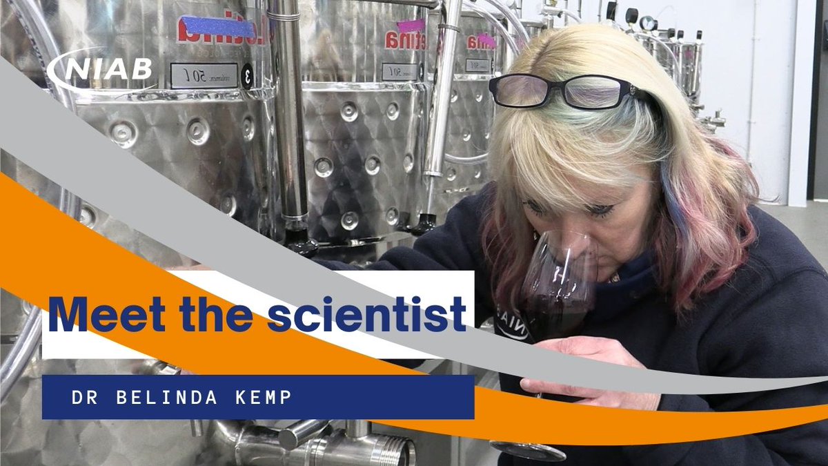 📹New #Video: Head of Viticulture and Oenology @BKPinot explains her love of wine, NIAB's current wine research and the challenges the industry faces. Plus her tips for getting into viticulture. Watch now ➡️ ow.ly/eYgm50R418p
