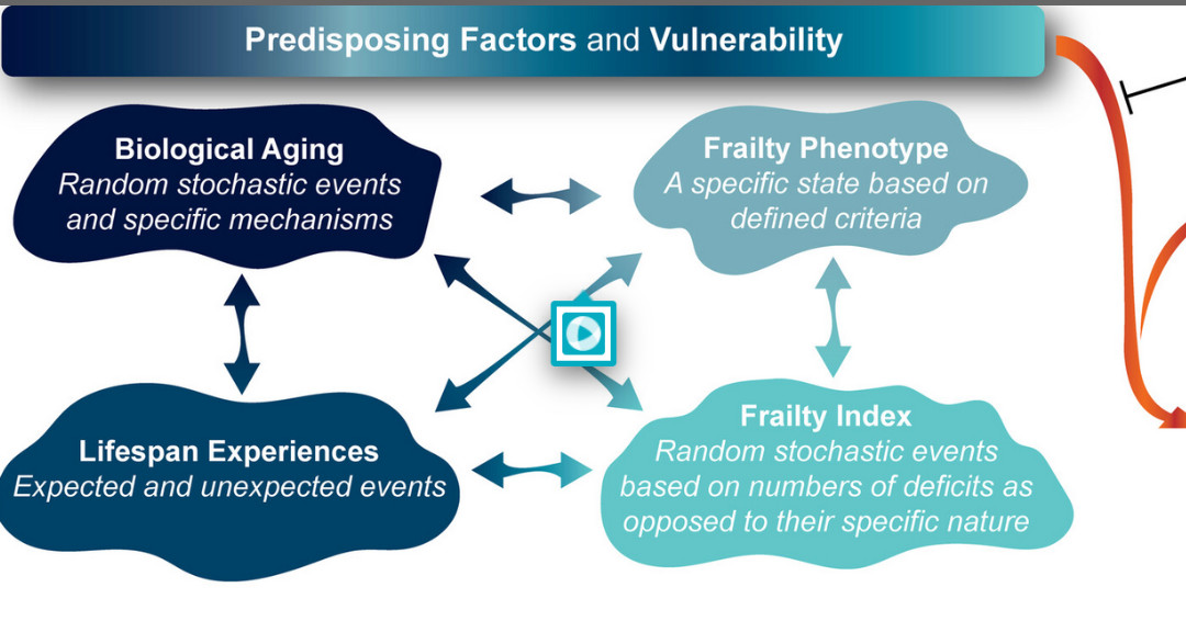 Frailty as an upstream target for intervention: A unifying approach to intervening in the trajectories of health, function, and disease in late life. #geriatrics agsjournals.onlinelibrary.wiley.com/doi/10.1111/jg…