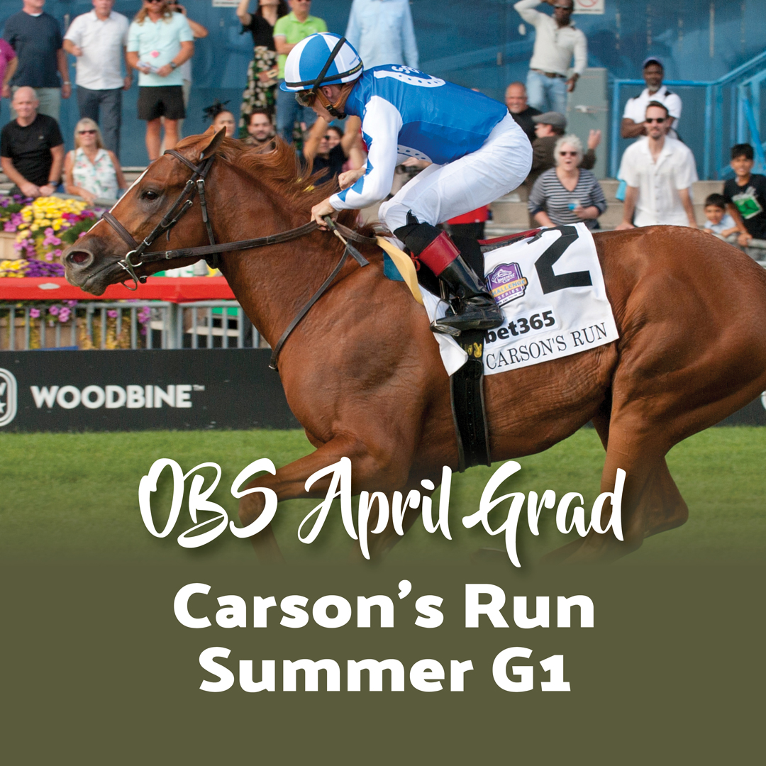Carson's Run (Cupid) is a 2023 OBS Spring grad purchased for $170k by West Point Thoroughbreds. He has career earnings of over $320k in 4 career starts. His most notable win was in the G1 bet365 Summer Stakes at Woodbine. Come get your next champion at OBS Spring on April 16-19.