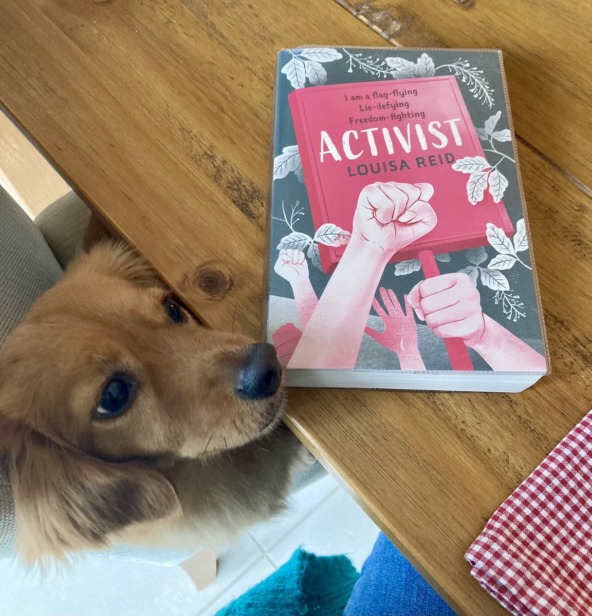 I finished ACTIVIST by @louisareid last night & it widened my already open eyes & fuelled an already burning flame inside of me. It’s an important & brutal verse novel that all teens, teachers & parents should read. Our kids are growing up in a toxic culture & they’re not safe.