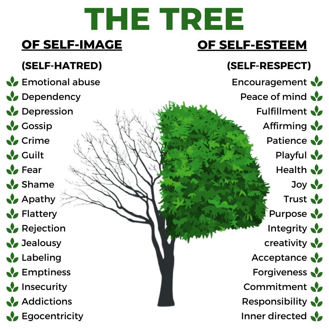 growingmindset7's tweet image. #SelfImage
#SelfRespect
#Diddy