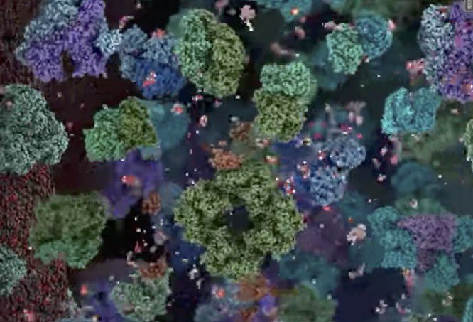 A professor in health sciences <a href="/StJohnsU/">St. John's University</a> said that i/my work are like enzymes. “Enzymes help with chemical reactions that keep a person alive and well, catalyze chemical reactions in cells, and lower the threshold necessary to start the intended reaction.” Best compliment ever.