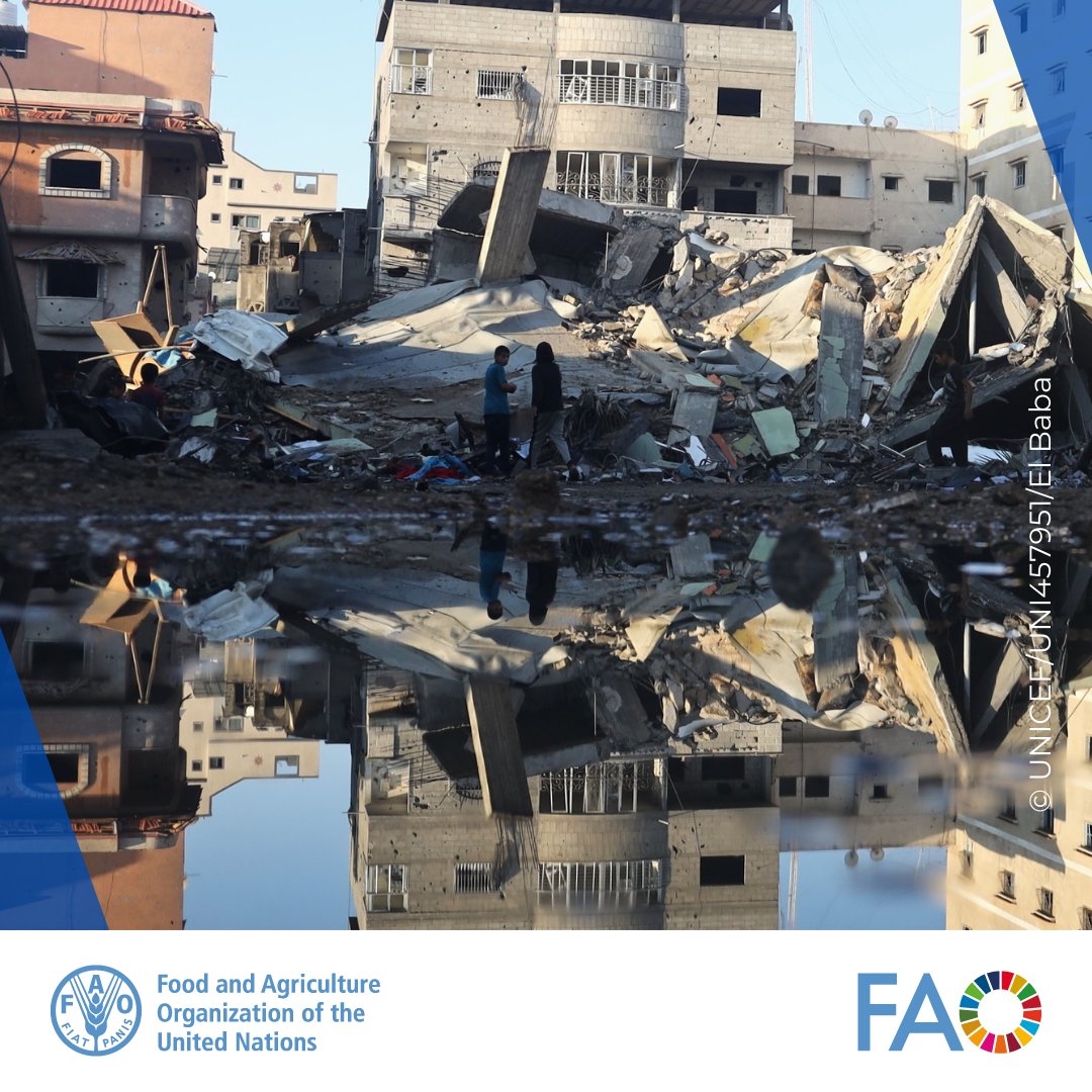 Continued hostilities in the #Gaza Strip is driving high levels of acute food insecurity with a risk of famine. Check out @FAO's newly launched portal for latest information and analysis of the #FoodSecurity situation in the region. 👉bit.ly/3TfLnu