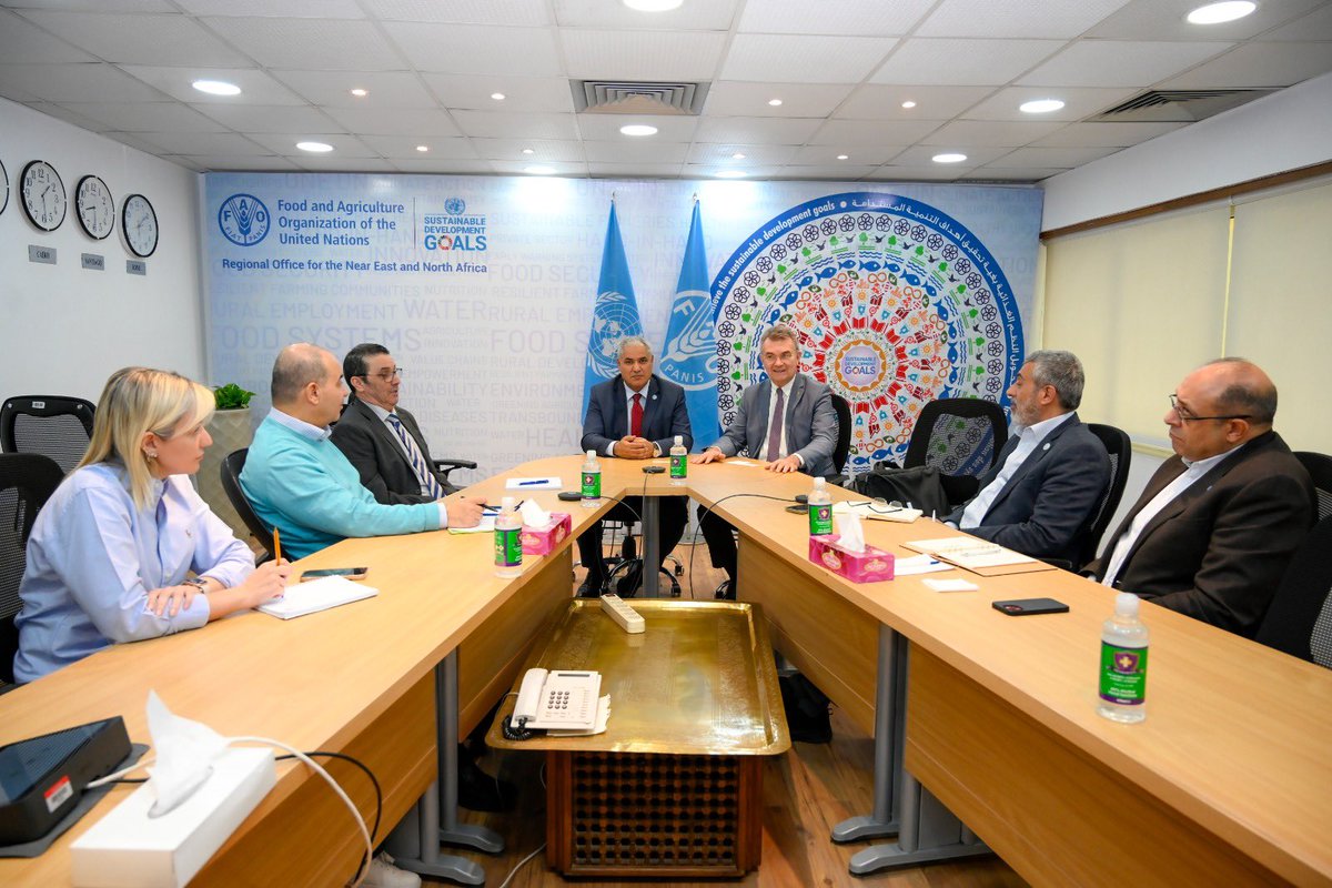 FAOADG_NENA's tweet photo. Today, I had the pleasure to discuss with João Bosco Monte president of @weareibraf a cooperation in the areas of:
💧Developing irrigation systems for sugarcane crop
🌱Enhancing agricultural cooperatives
👨‍🎓Building capabilities of young researchers under the umbrella of the #SSC https://t.co/MVhmHLxgKx