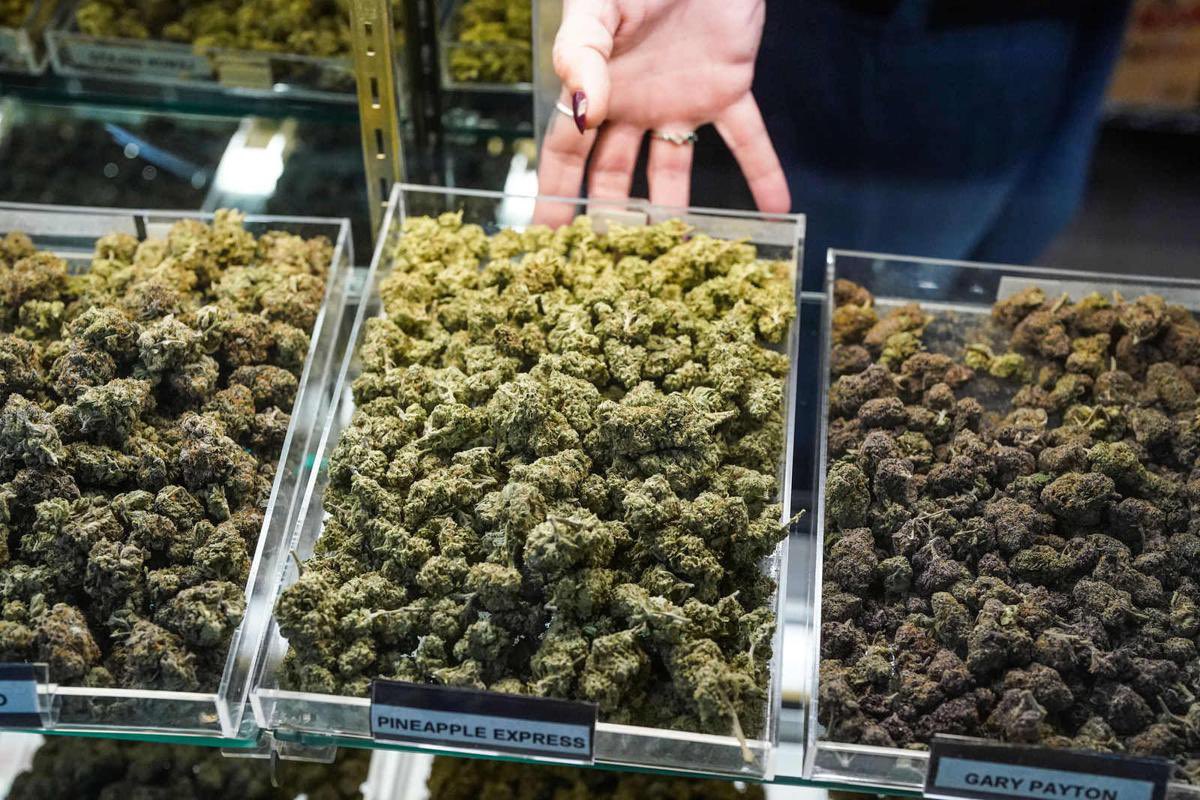 ZeddimaA's tweet photo. #cannabisforsale #california #cannabis #cannabiscommunity #marijuana #kush #wax #champions #hemp #shatter #hash #oils #weedmemes #shrooms #stunner #pills #cbdhelps #marijuanacommunity #cannababes #cbdsaves #cbdstore https://t.co/1RIYtzURLw