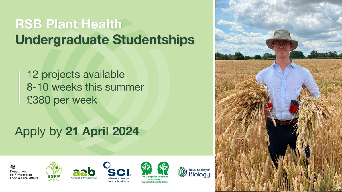 Undergraduates – our summer studentships in #PlantHealth are now open for applications 🌱 We worked with plant scientists to create twelve projects that address major plant health challenges identified by @DefraGovUK 🧵 🔗 Full details: rsb.org.uk/PHUGS