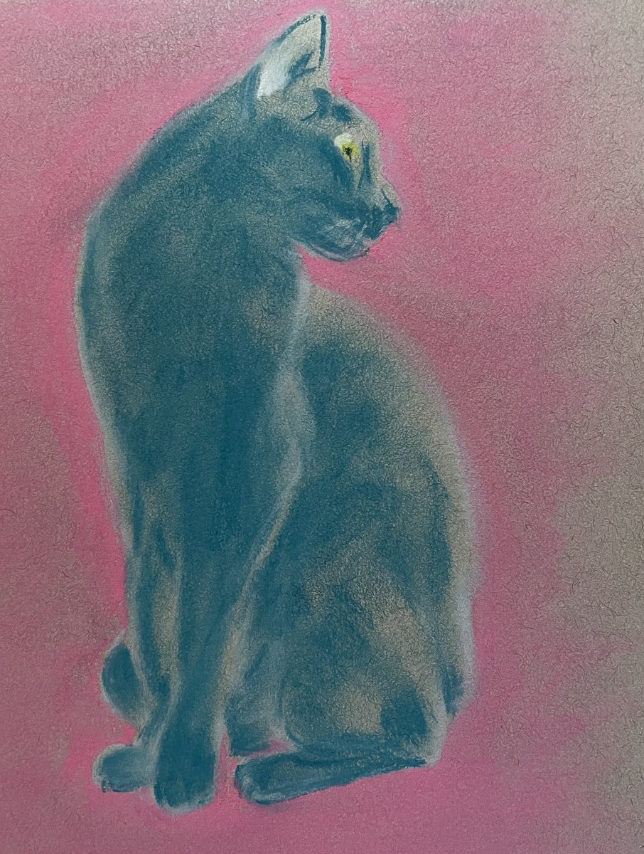 They say it’s #CatDay so sharing my pastel cat. Cats know how to live.