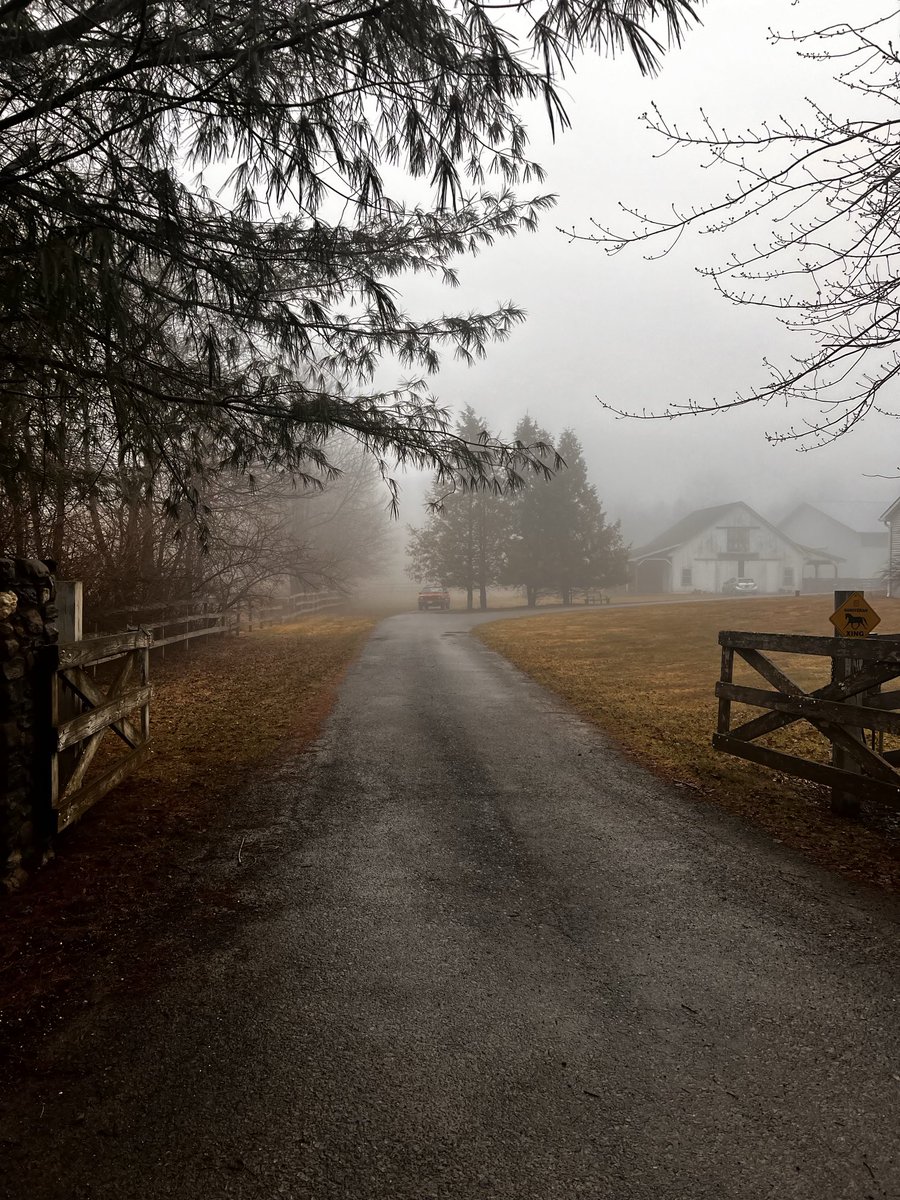 Leaving the farm on this dreary foggy morning heading to Aqueduct for America’s day at the Races on ⁦@FOXSports⁩ for ⁦@TheNYRA⁩ I hope you join us.