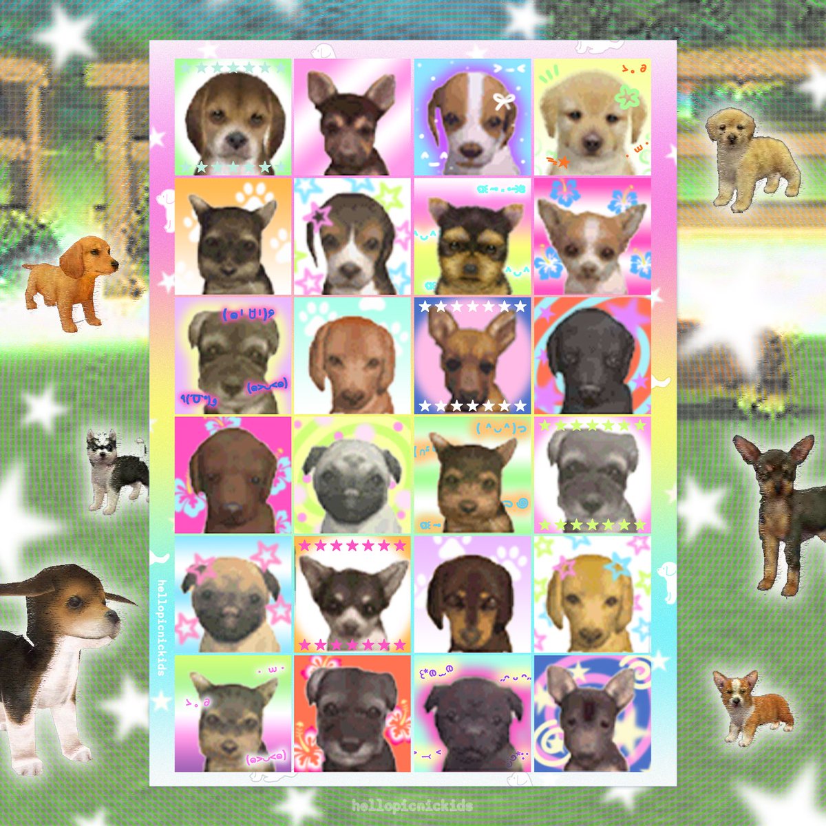 nintendogs profile ฅ՞•ﻌ•՞ฅ
