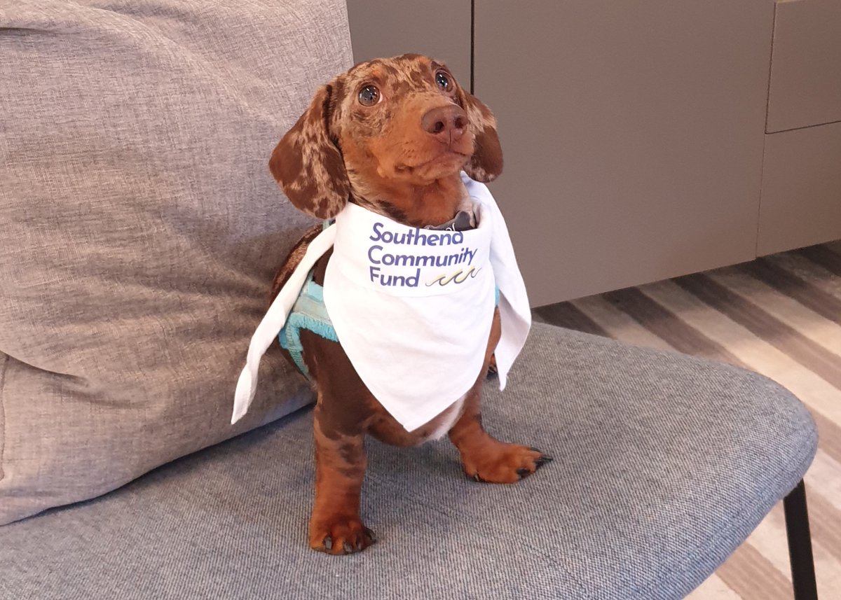 Wishing all our supporters and grant partners a happy Easter weekend. 🌻 To get us in the mood, we had a lovely visit from Jeff, the miniature dachshund and mascot for the #Southend Community Fund! His visit caused lots of smiles, high pitched eeks and aahing from the team!