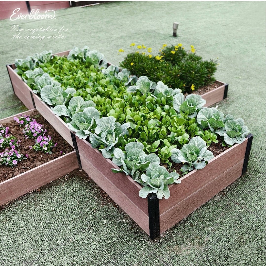 Everbloom Garden tweet media