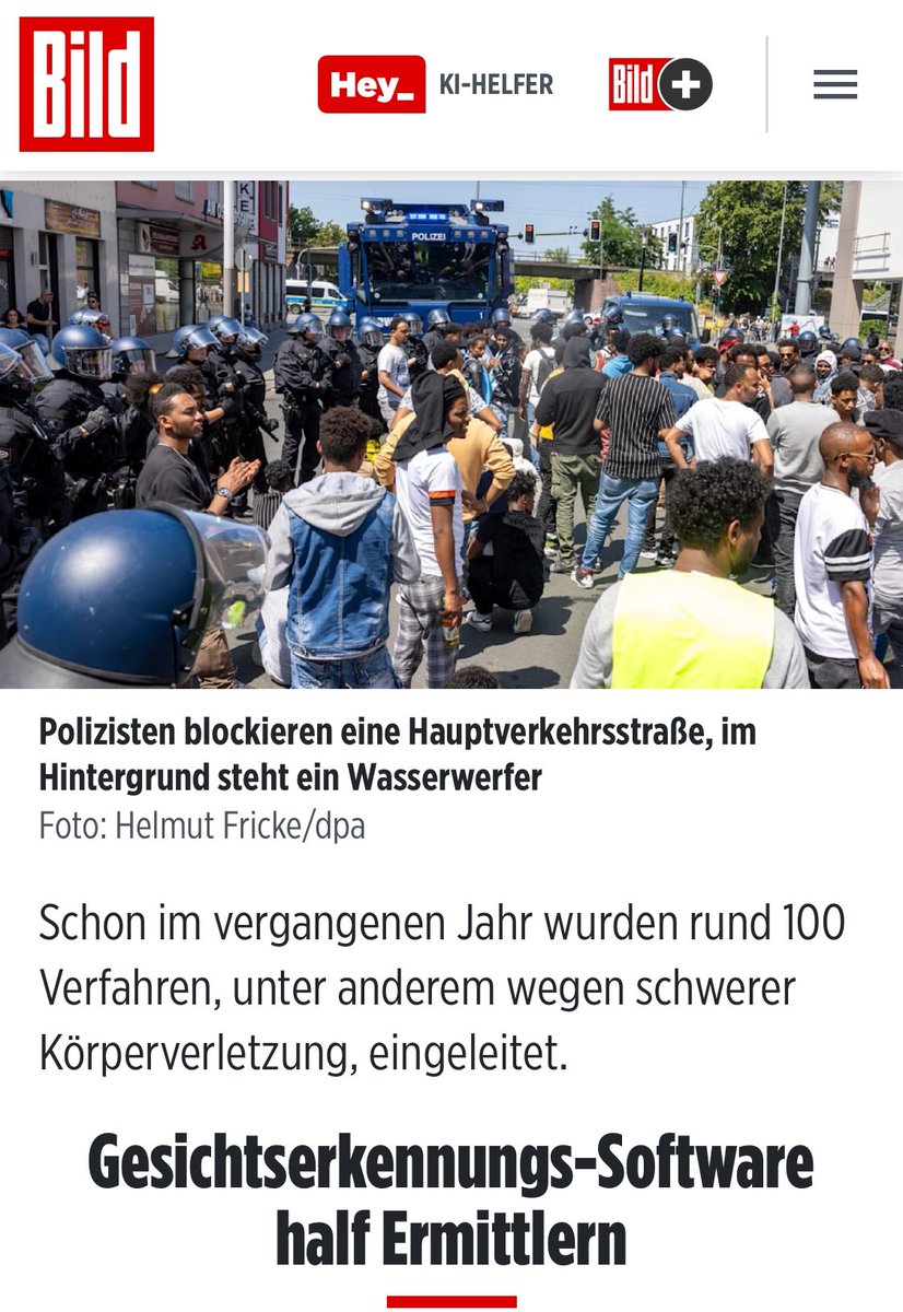 The festival in Giessen was organized by the Eritrean dictatorship supporters and hundreds of protesters gathered to stop the illegal fundraising and the hate propaganda that was about to take place. Therefore is it only just that the German police view the actions taken by these