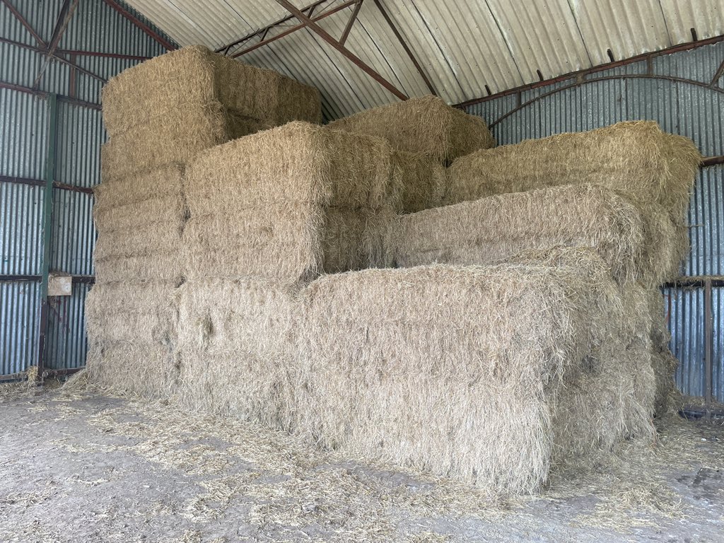 💥If you are getting short of forage we have spare available for sale. Good quality meadow hay, barn stored💥 I could arrange haulage if needed. Pls RT 🙏