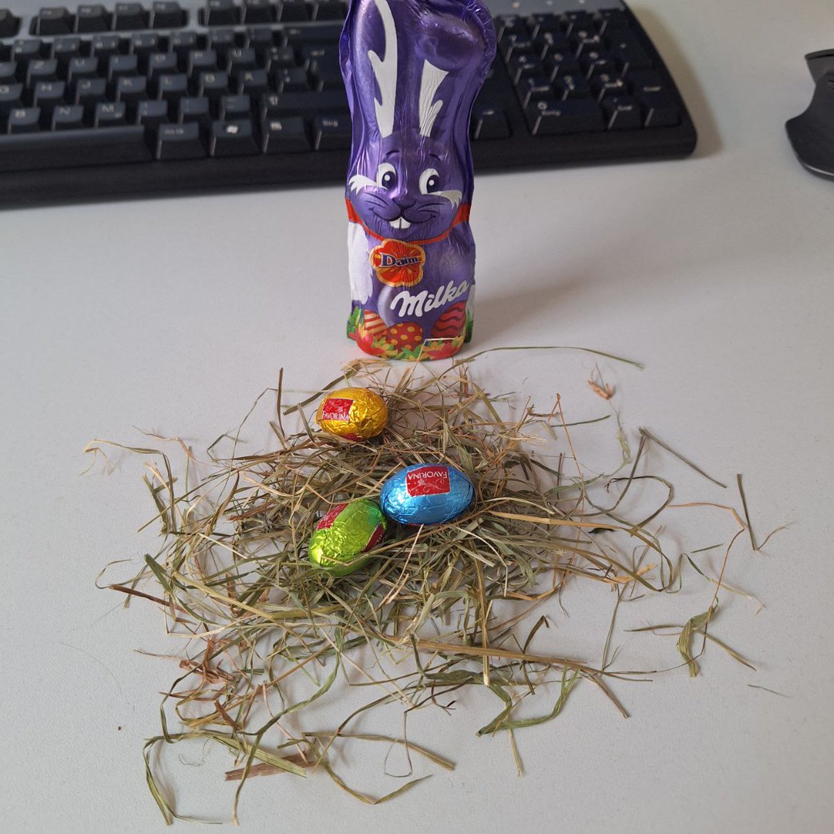 GmbhInnocon's tweet photo. Ostern steht kurz vor der Tür und die Vorfreude ist schon groß. 🎉
Bei  uns war der Osterhase schon heute da und hat den Kolleginnen und  Kollegen eine süße Überraschung gebracht, um die Osterzeit einzuläuten.  🐰🍫
Lasst uns die bevorstehenden Feiertage gemeinsam genießen. 🎉 https://t.co/ekmu6RkxP2