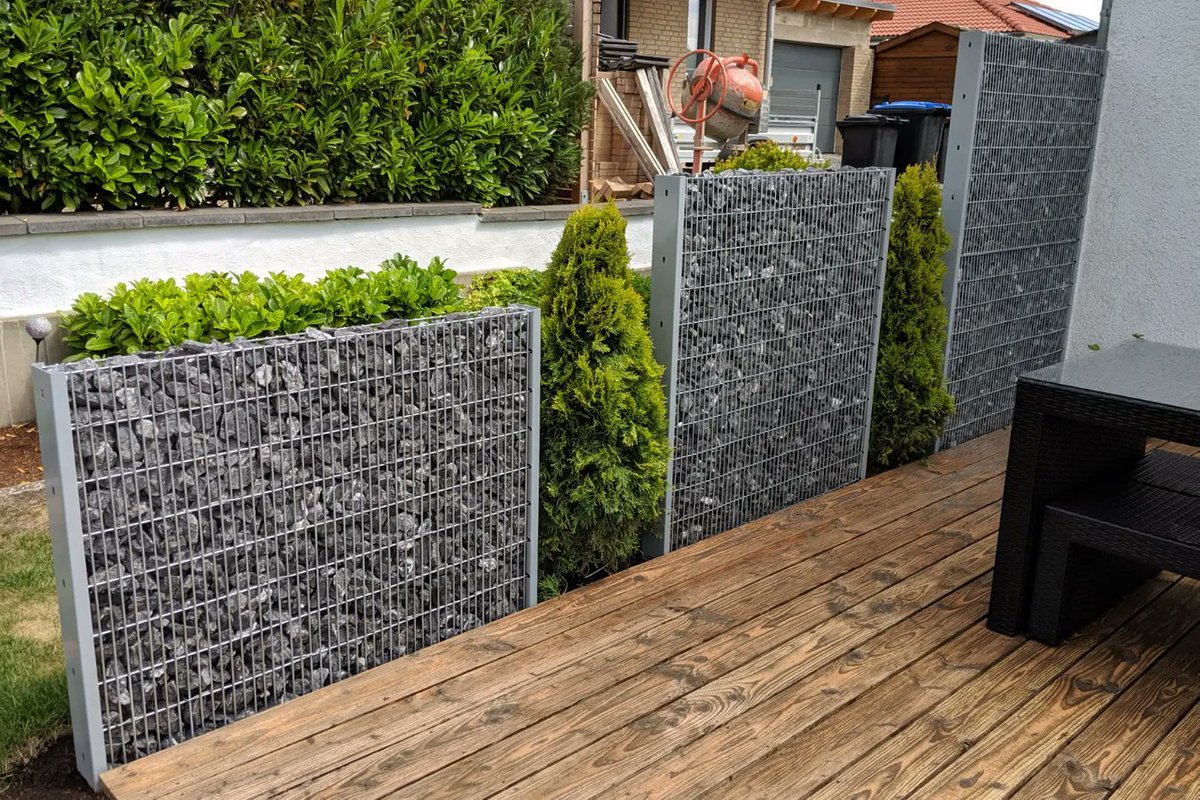 domforrester tweet media