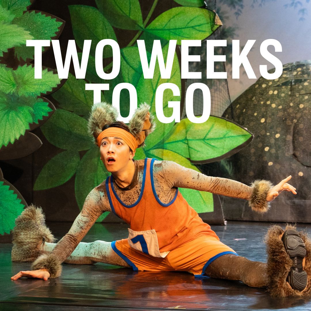 That face when you realise you haven't got your Tortoise and the Hare tickets yet! Hop on down to Northern Stage this easter as @northernballet re-tell this classic tale. 🐢 📍 Stage 1 📅 11 - 12 Apr 🎟️ buff.ly/3s8nnP8