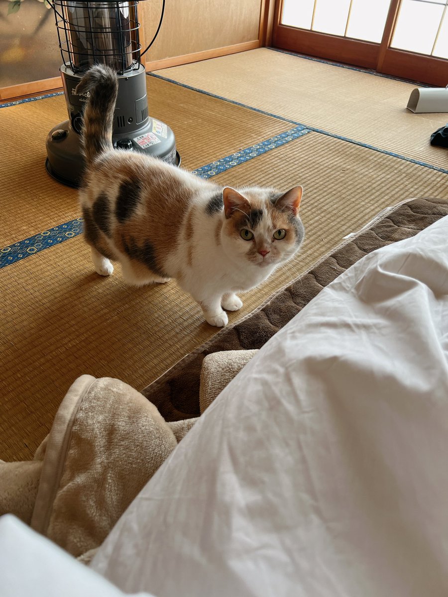 akane941's tweet photo. 約2週間ほど滞在した富山県朝日町、明日が最終日。民泊たなごころヘルパーとしてこれてよかったな、たのしかった。 https://t.co/CDGglcQUT1