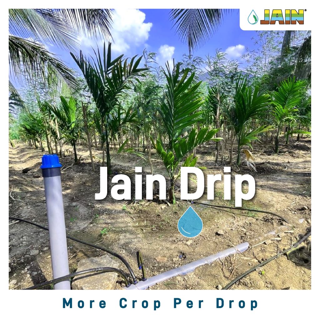 The best grip for your farms to thrive with immense prosperity! - Jain Drip 💧 

Water savings upto 70% 💧 
Yield increase upto 230% 🌈 

#JainDrip #DripIrrigation #AgriTech #AgTech #JainIrrigation #Drip #JISL