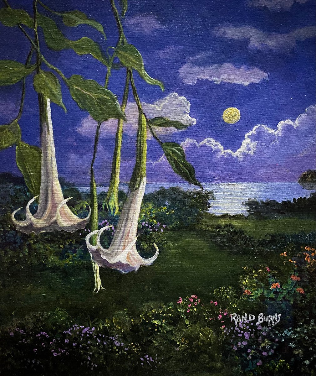 Twilight Trumpets, 24 x 20”. Painting. Heralding the light of a summer moon, angel trumpet daturas share their song on a warm summer night.