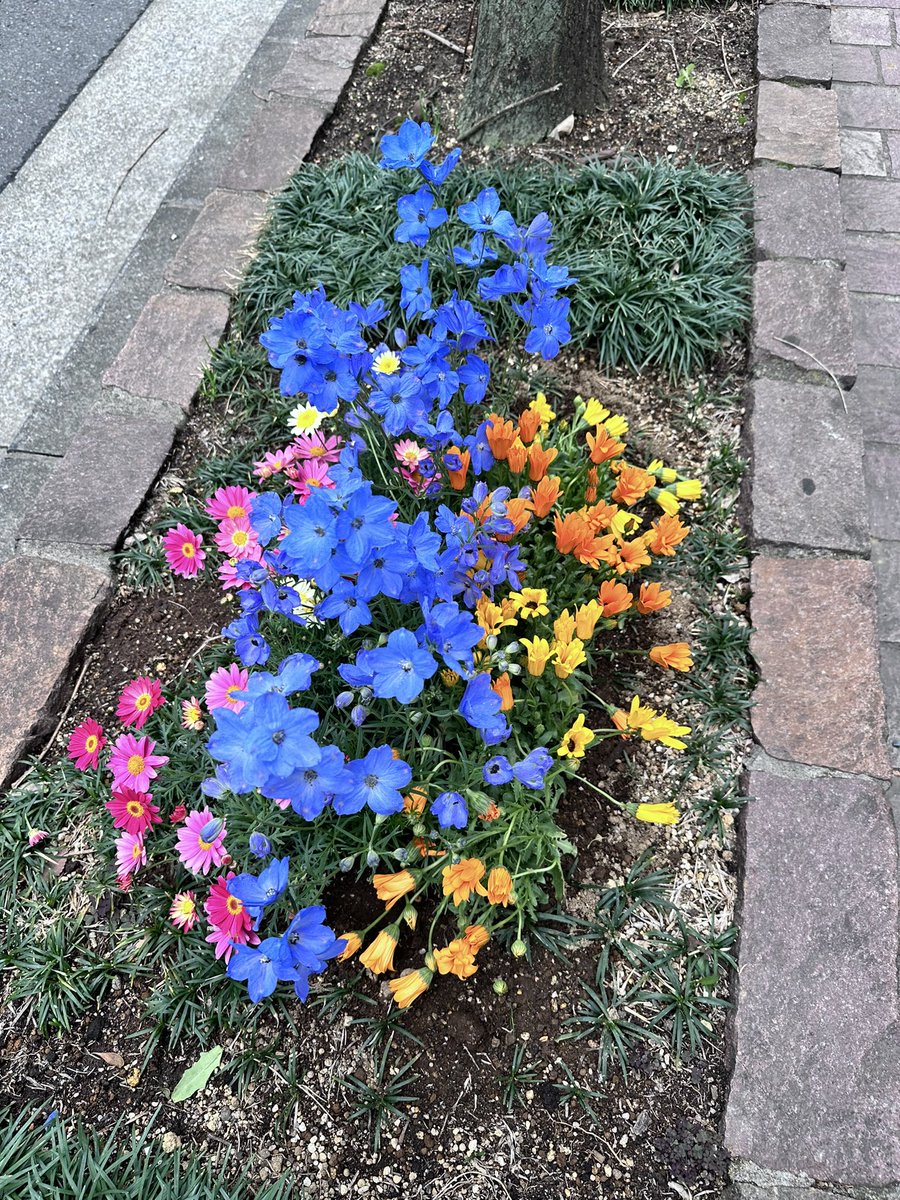 niblick72's tweet image. 腰痛手術後の経過観察で銀座へ行って来ました。

昼食は、いつもの
#九州じゃんがら　へ
外国の方の割合が増えていて８割位に

スタッフの方も、片言の英語で中国語で話していた観光客のオーダー受注

総務省の #無料翻訳アプリ
#VoiceTra  
で30カ国以上対応だが、観光客、日本側双方、周知状況が