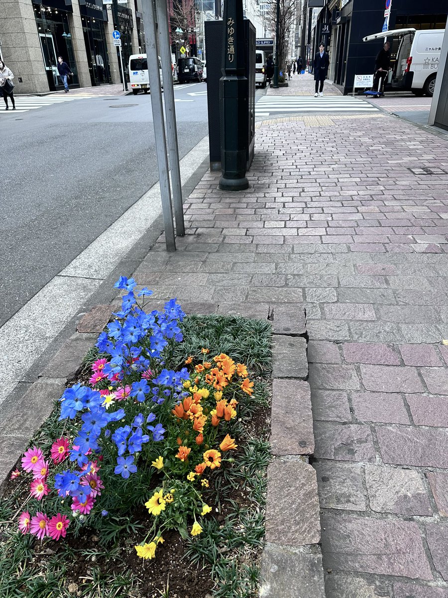 niblick72's tweet image. 腰痛手術後の経過観察で銀座へ行って来ました。

昼食は、いつもの
#九州じゃんがら　へ
外国の方の割合が増えていて８割位に

スタッフの方も、片言の英語で中国語で話していた観光客のオーダー受注

総務省の #無料翻訳アプリ
#VoiceTra  
で30カ国以上対応だが、観光客、日本側双方、周知状況が