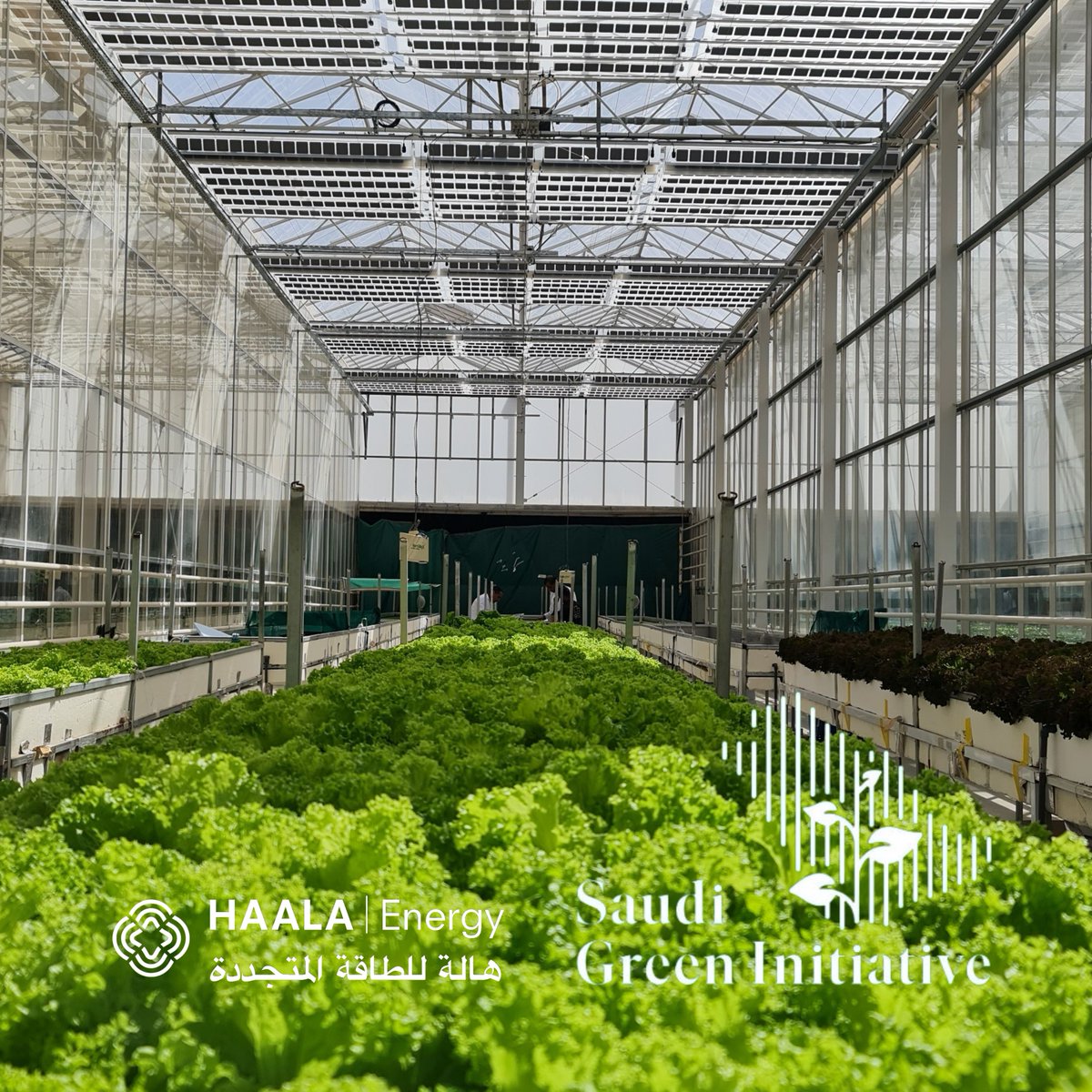 HAALA Energy tweet media