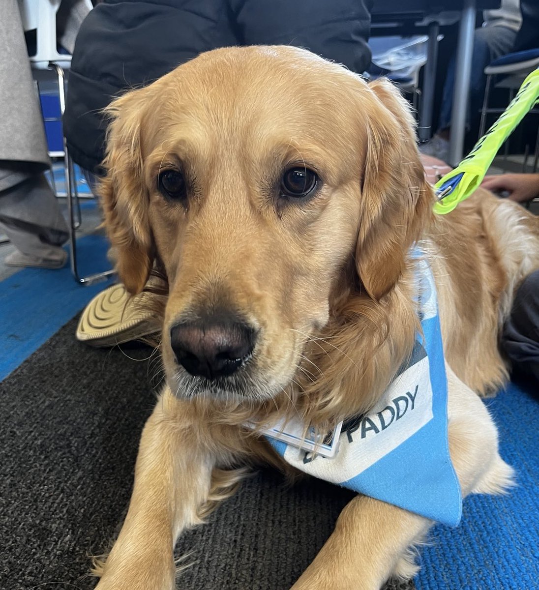 Had a great time yet again at the <a href="/LivUniMedicine/">UoL School of Medicine</a> Wellbeing Wonderland yesterday, ran by the amazing wellbeing team 💫

(The highlight was seeing Dr Paddy and Dr Ralphie, therapy dogs, again!! 🐶 🐶)
